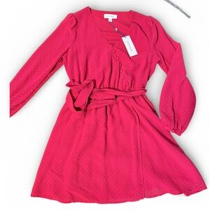 POPSUGAR Pink dress log sleeves
